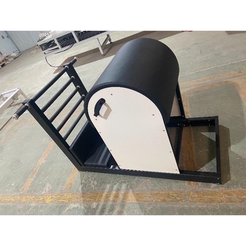 YTYIN Pilates Machine Ladder B - Pilates Yoga Exercises 评论和价格